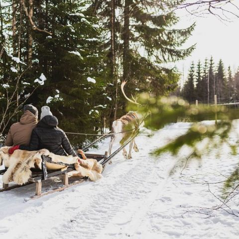 Valkeisen Loma - Camping Central Finland - Image N°3
