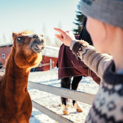 Valkeisen Loma - Camping Central Finland - Afbeelding N°5