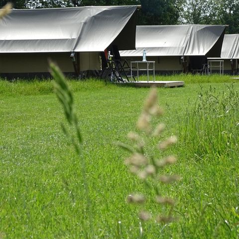 TENTE TOILE ET BOIS 2 personnes