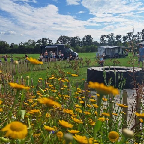 Pitch - Comfort pitch (6/10/16) Ampere