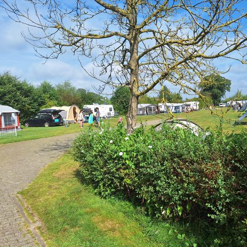 STAANPLAATS - Comfort kampeerplaats (6/10/16) Ampère