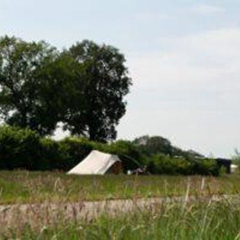 PLOT - Tent pitch without electricity