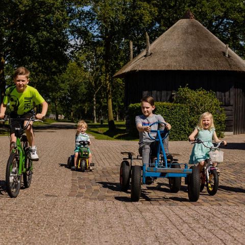  Charmecamping & Appartementen De Regge-Vallei  - Camping Twenteret - Image N°2