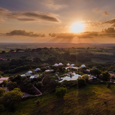 Wecamp Reserva Alecrim - Camping Alentejo - Portogallo - Image N°4