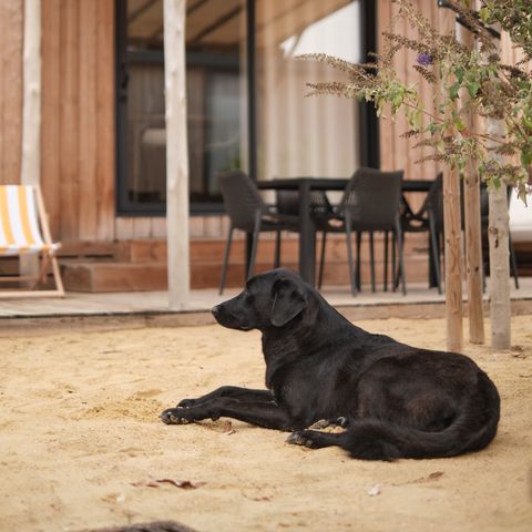 LODGE 6 persone - Marsanne 6 Amico dei cani