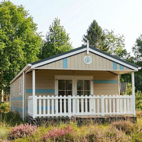Bungalow 5 Personen - Schmetterlinge Venhuis