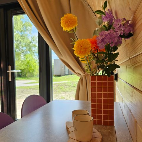 ALBERGUE 2 personas - El Hagekrûper