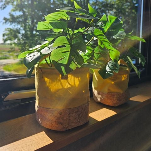 Lodge 3 personen - De Spjocht