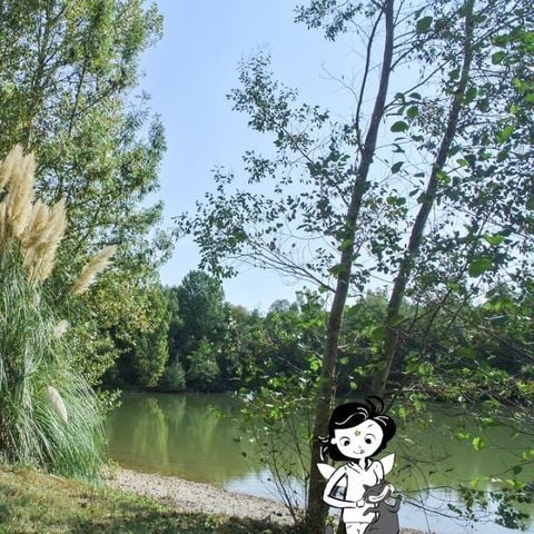Camping Les Fées du Moulin - Camping Tarn - Image N°3