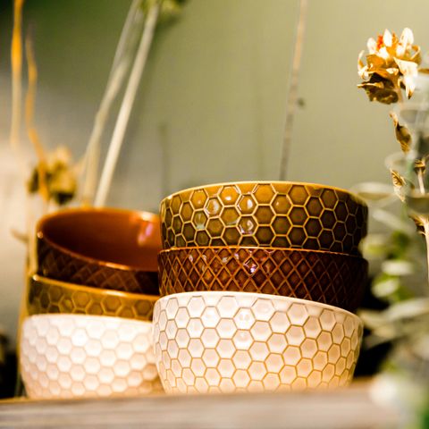 LODGE 4 persone - Alloggio d'acqua Sweltsje