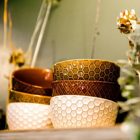 LODGE 4 Personen - Wasserhaus Sweltsje