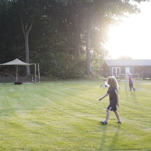 Pitch - Tractor site