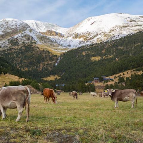 Pierre & Vacances Résidence La Merceria - Camping Andorre - Image N°4