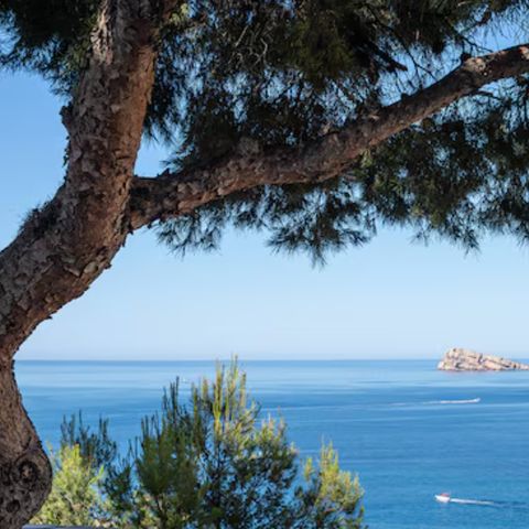 Pierre & Vacances Résidence Benidorm Horizon - Camping Alicante - Image N°6