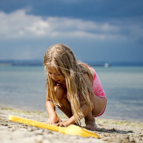 Duincamping de Lepelaar - Camping Schagen - Afbeelding N°3