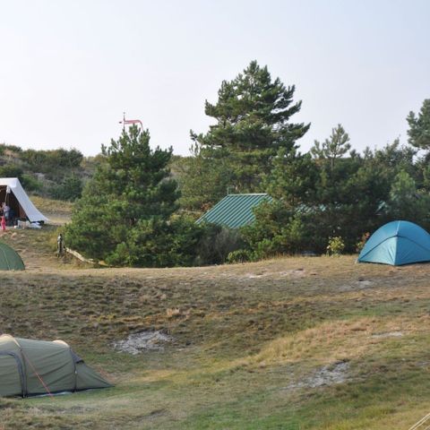 Pitch - Tent pitch without electricity small (max 4m2