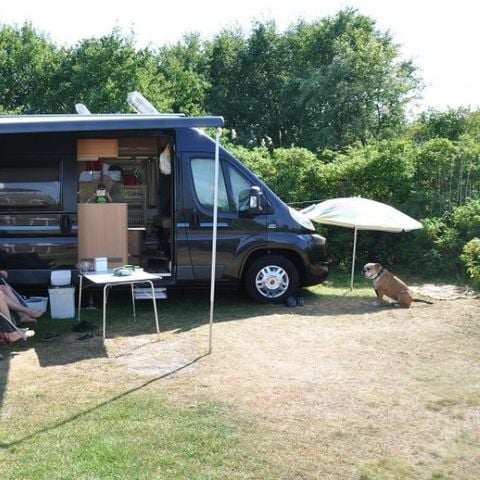 Pitch - Motorhome site