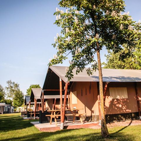 TIENDA DE LONA Y MADERA 5 personas