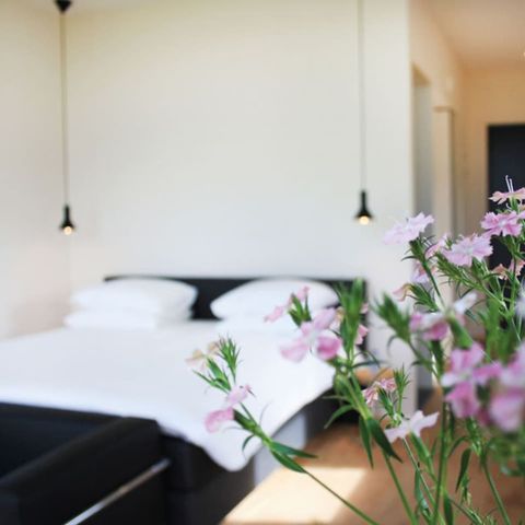 CHAMBRE 2 personnes - Anjewel Meadows Suite