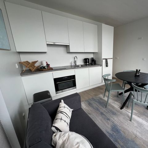 UNIEKE ACCOMMODATIE 4 personen - Luxe overnachten op het water in Friesland (41)