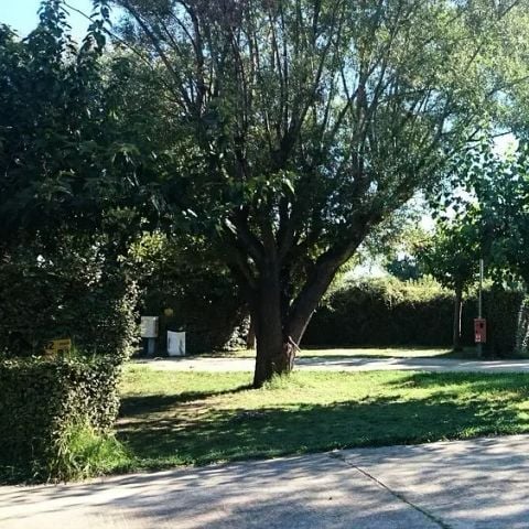 Camping City  - Camping Bouches-du-Rhône - Image N°2