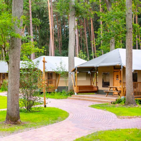 TIENDA DE LONA Y MADERA 6 personas - Albergue Tongasoa
