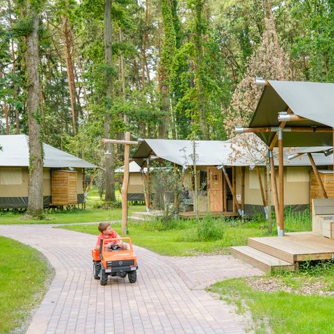 TIENDA DE LONA Y MADERA 6 personas - Albergue Tongasoa