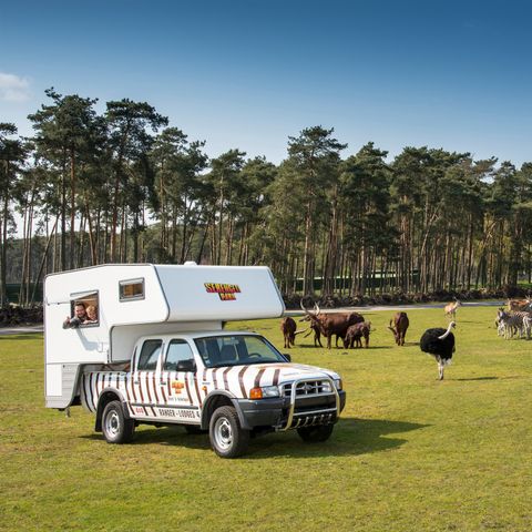 ALBERGUE 4 personas - Guardabosques