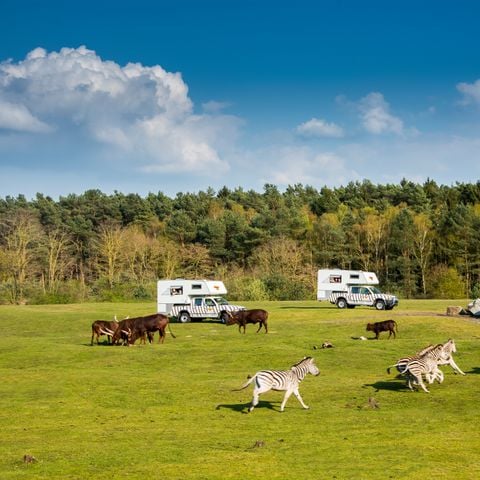 LODGE 4 persone - Ranger