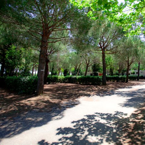Kampeerplaats