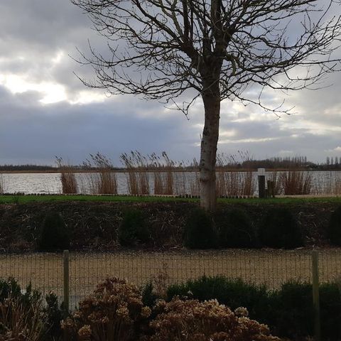 CHALET 4 persone - Willow Rose - Viale degli Aironi 202