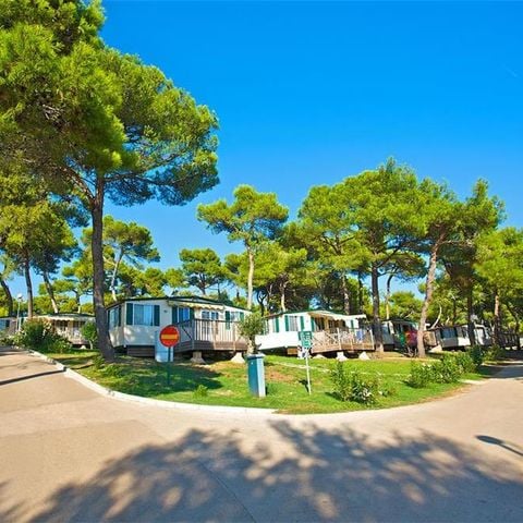 CASA MOBILE 5 persone - Lato parco
