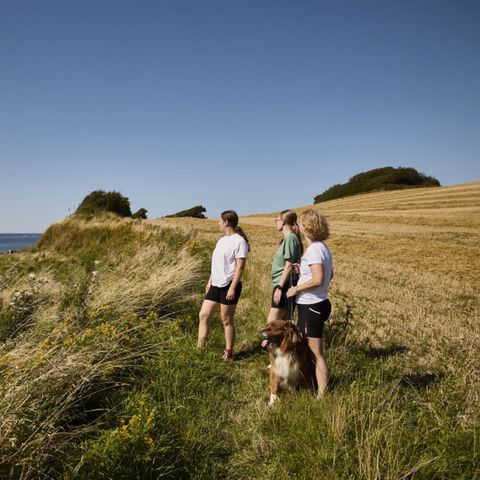 Vodatent Emmerbølle Strand Camping - Camping Danimarca meridionale - Image N°4