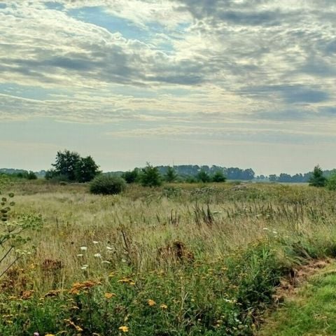 Vodatent Camping Hunze Bulten - Camping Aa en Hunze - Afbeelding N°5