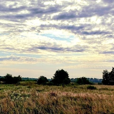 Vodatent Camping Hunze Bulten - Camping Aa en Hunze - Afbeelding N°4