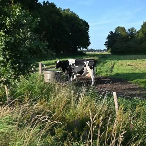 Vodatent Camping Hunze Bulten - Camping Aa en Hunze - Afbeelding N°6