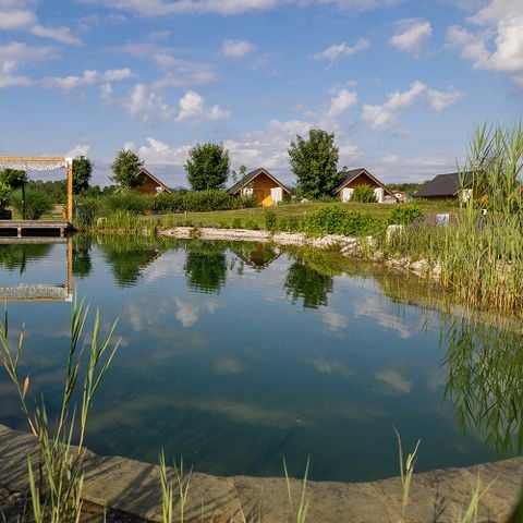 Pitch - Comfort / STANDARD