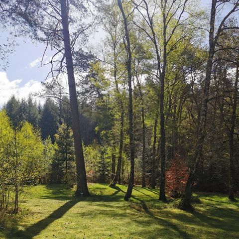 EMPLACEMENT - Emplacement randonneur, cycliste ou motard avec tente