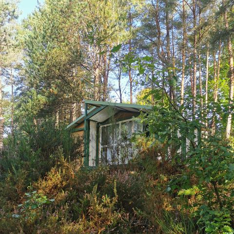 Chalet 5 Personen - Bungalow, nach außen offen