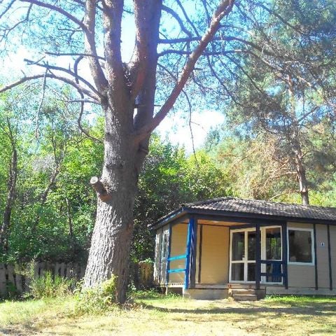 CHALET 5 personnes - Bungalow Spacieux