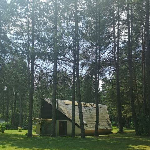 TENT 4 people - Bengali" conversion