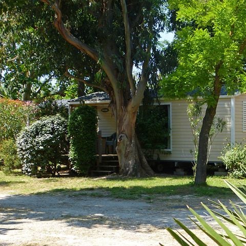 MOBILE HOME 4 people - Mobil Home Loggia - 27m² - 2 bedrooms -