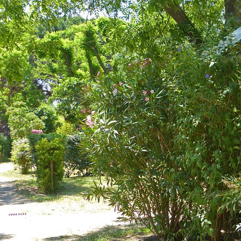 BUNGALOW 5 personnes - Mobil home "Super Mercure Riviera" - 29m² - 2 chambres -