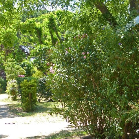 Stacaravan 5 personen - Stacaravan "Super Mercure Riviera" - 29m² - 2 kamers -