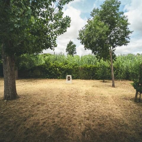 Kampeerplaats - Standplaats L