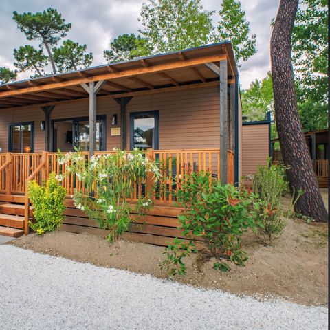 LODGE 4 people - Lodge Elite - No pets allowed