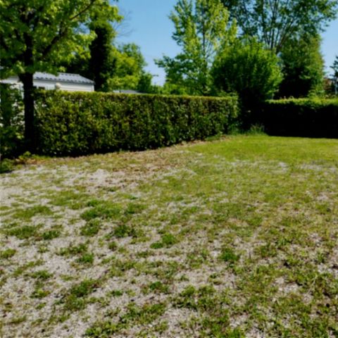 Pitch - Bare pitch