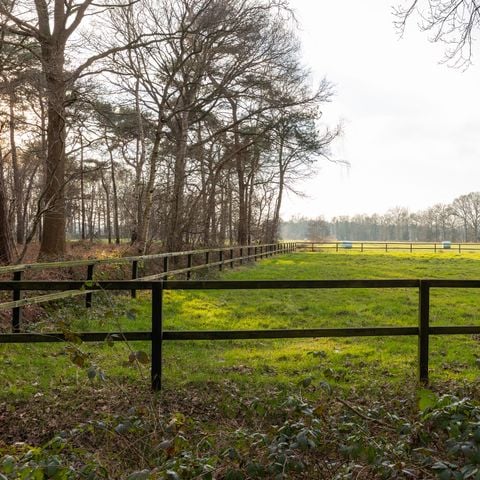 CHALET 6 persone - Renshorst