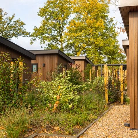 CHALET 6 persone - Renshorst