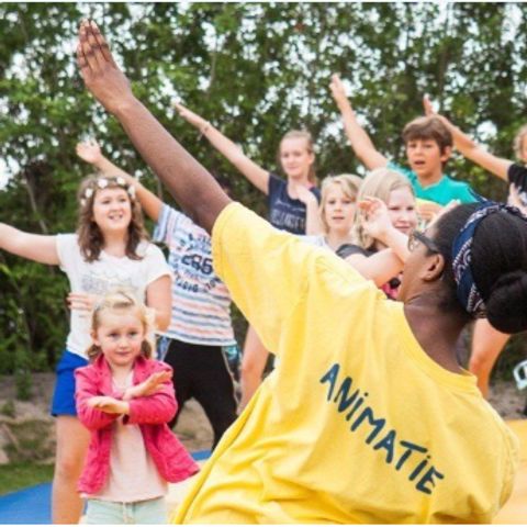 Kustpark Nieuwpoort - Camping West-Vlaanderen - Afbeelding N°5